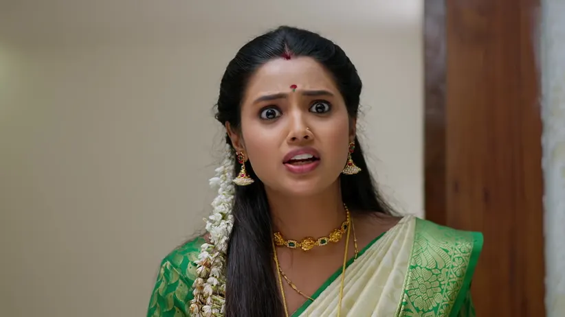 Paru and Lisa Plan to Frame Rudra