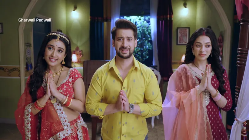 New Year Delight with Double the Entertainment - Gharwali Pedwali - Promo