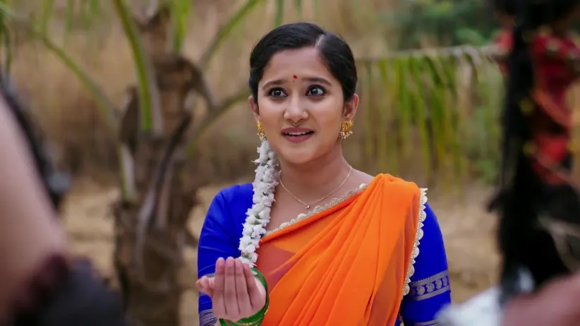 Jodi Hakki - January 17, 2026 - Webisode