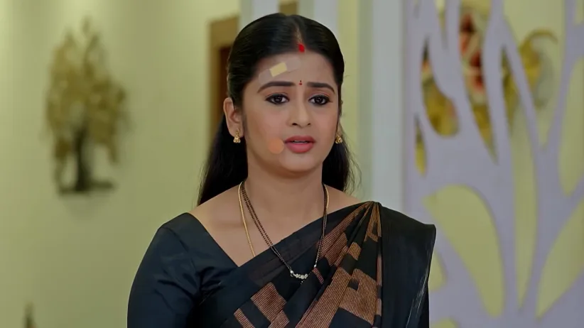 Dheerga Sumangali Bhava - January 21, 2026 - Webisode