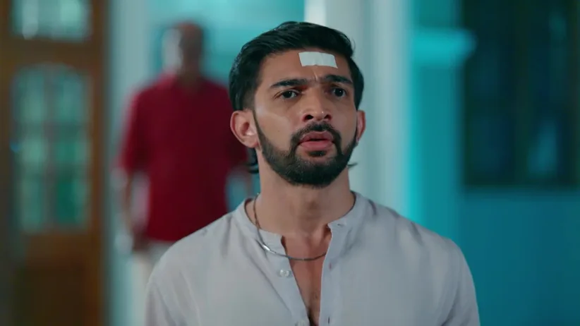 Udayan's Actions Intrigue Naveen - KrishnaGadha