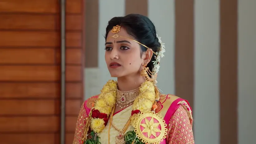 Lakshmi Raave Maa Intiki - January 29, 2026 - Webisode