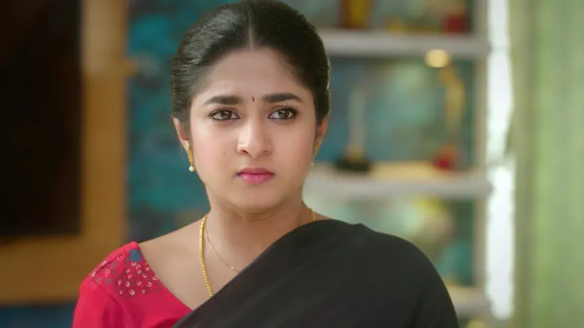 Chinnan Siru Kiliye - February 02, 2026 - Episode Spoiler