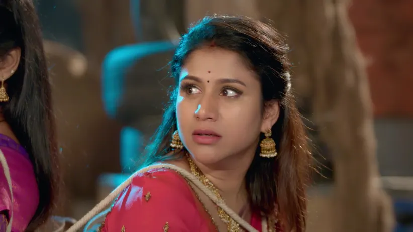 Paarijatham - January 30, 2026 - Episode Spoiler