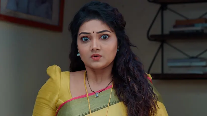 Lakshmi Takes over the Household Chores