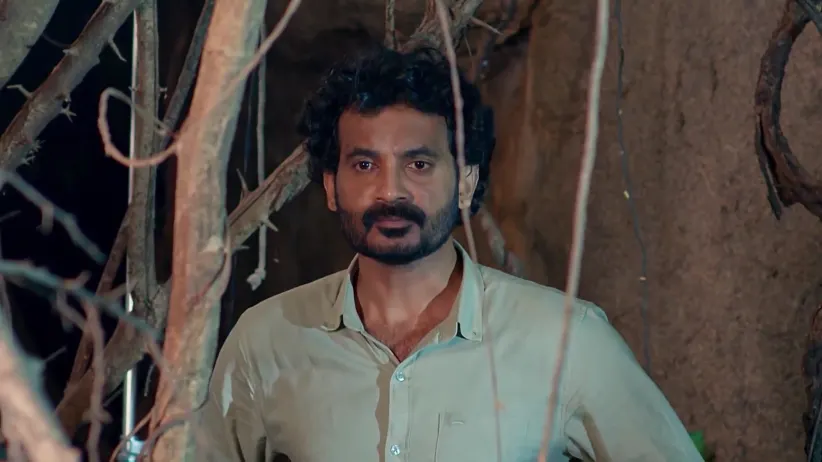 Dheerga Sumangali Bhava - February 05, 2026 - Webisode