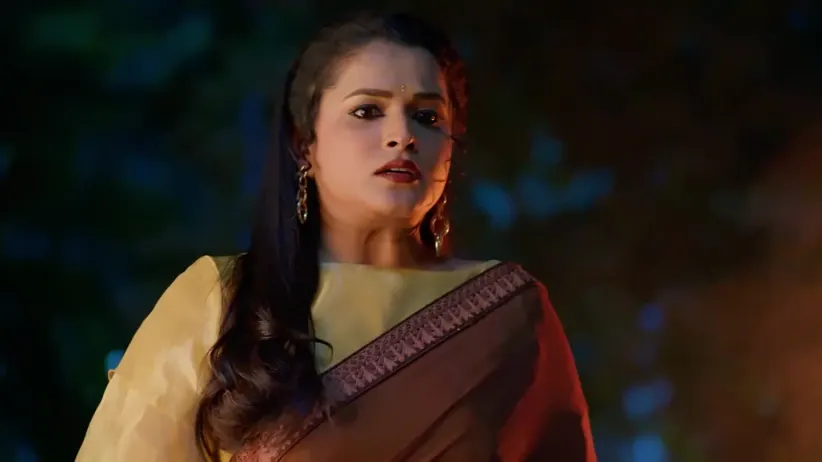 Nindu Noorella Saavasam - February 02, 2026 - Webisode