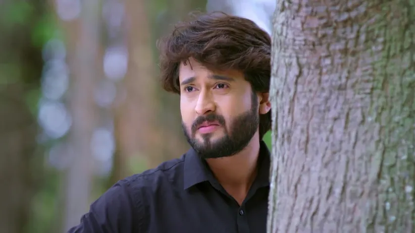 The Flowers Land in Wrong Hands