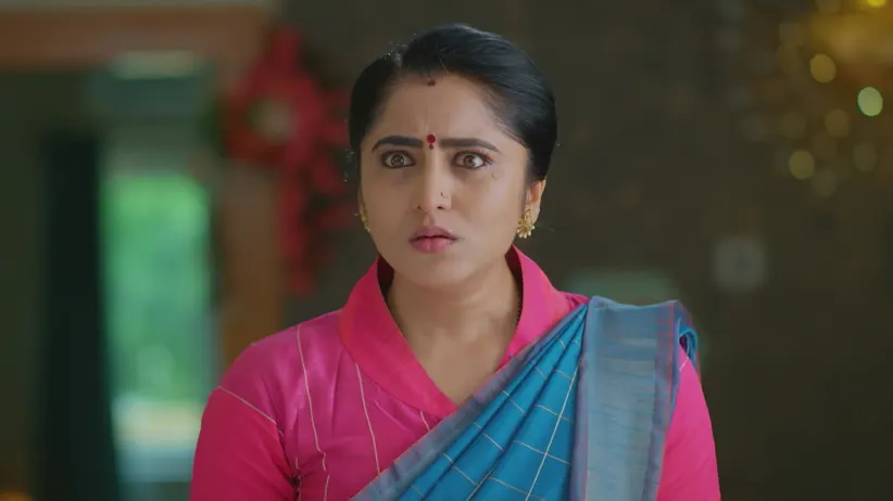 Meghasandesha - 04 February, 2026