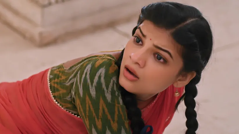 Saru - 07 February, 2026