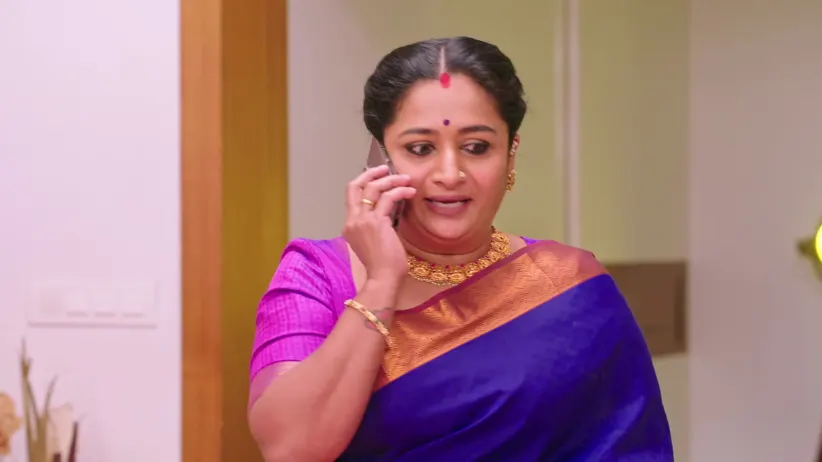 Shravani Subramanya - February 17, 2026 - Episode Spoiler