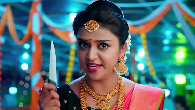 Mithra Decides to Marry Manisha