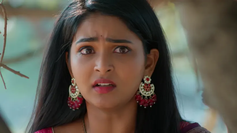 Lakshmi Nivasam - February 18, 2026 - Episode Spoiler