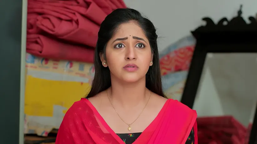 Devayani's Allegations against Naani