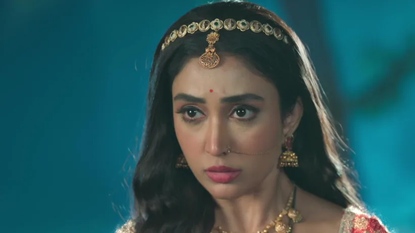 Gharwali Pedwali - 04 March, 2026