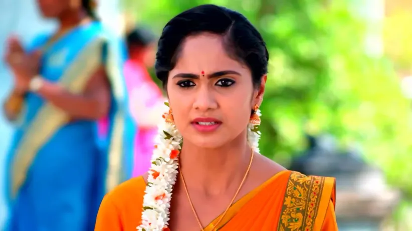 Sanjay Helps Vidhya