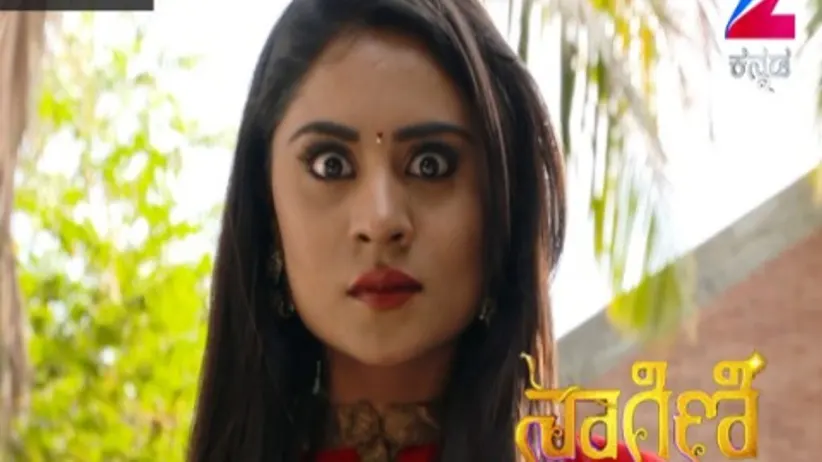 Naagini - Episode 24 - March 10, 2016 - Full Episode