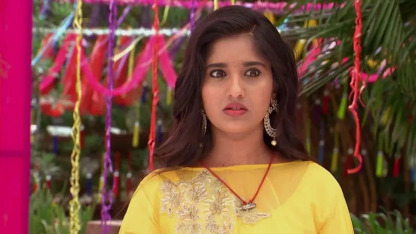 Kalyana Vaibhogam - Episode 252 - April 17, 2018 - Full Episode