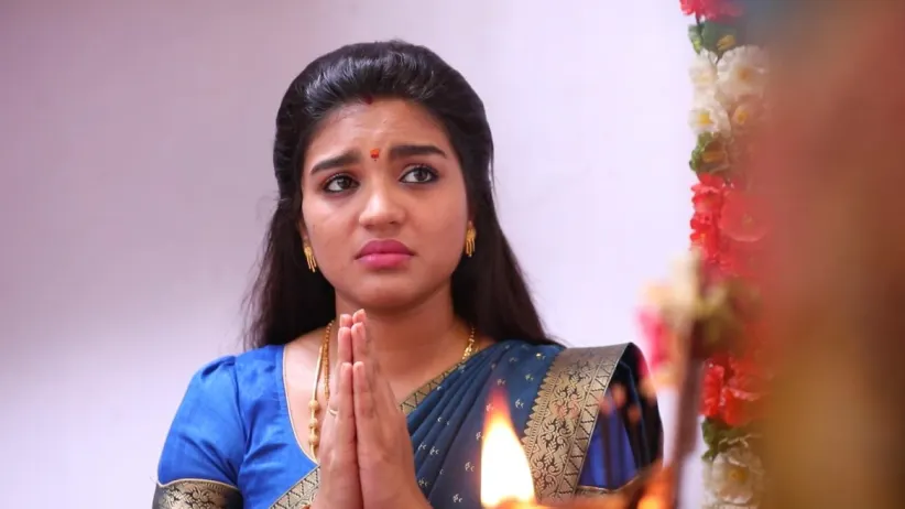 Vanaja's Plan Fails