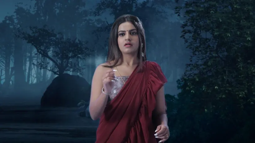 Digvijay Returns to His Human Form