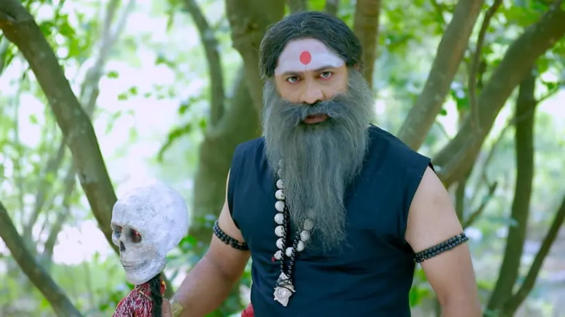 Trivikram Tries to Get Close to Shivani