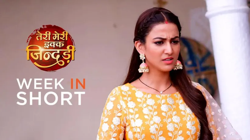 Teri Meri Ikk Jindri | 24-29 May, 2021
