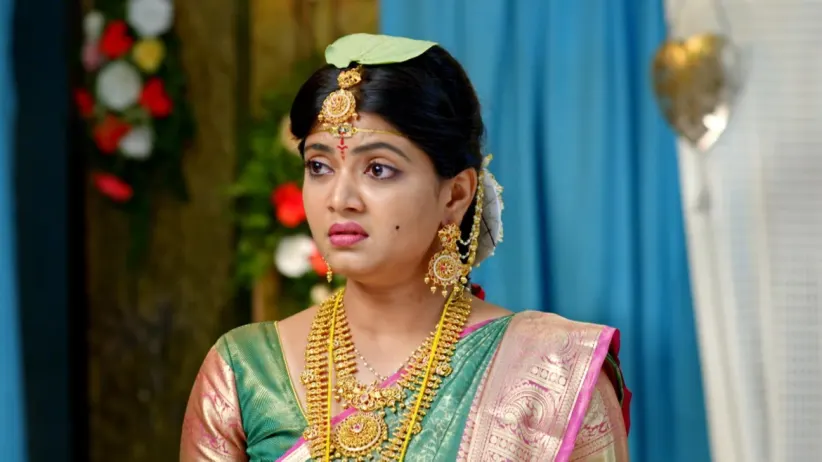 Devansh and Vaidehi Get Married
