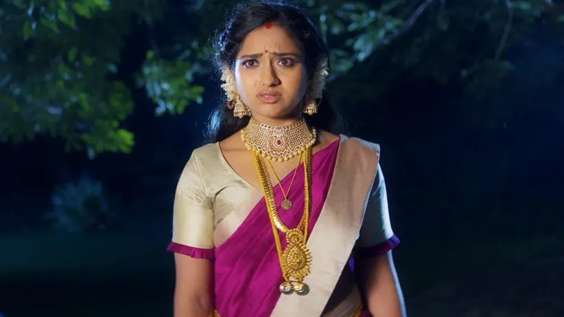 Sudha's Visit Shocks Trinayani