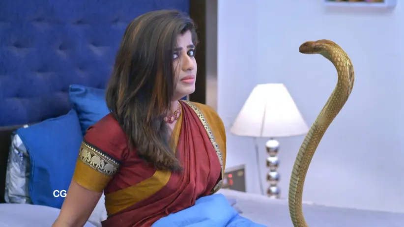 Hasini Trembles on Seeing a Snake