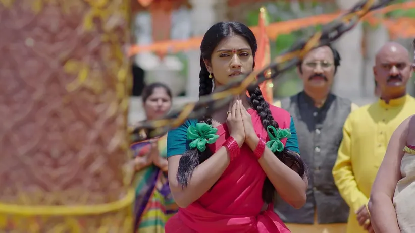 Chitti Rings the Temple Bell