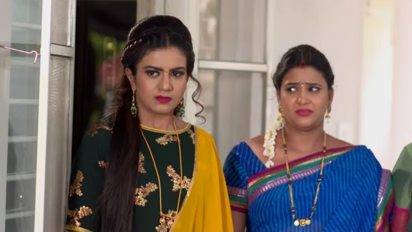 The Snake Fight Scares Madhumathi