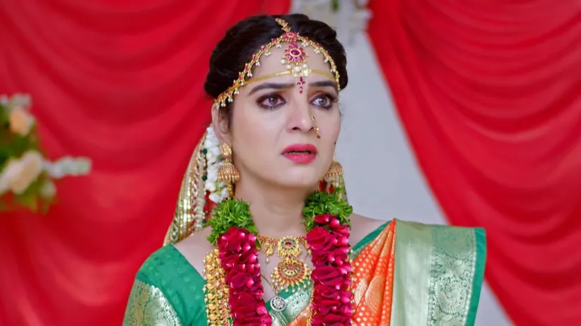 Bunny to Stay Away from Vasundhara