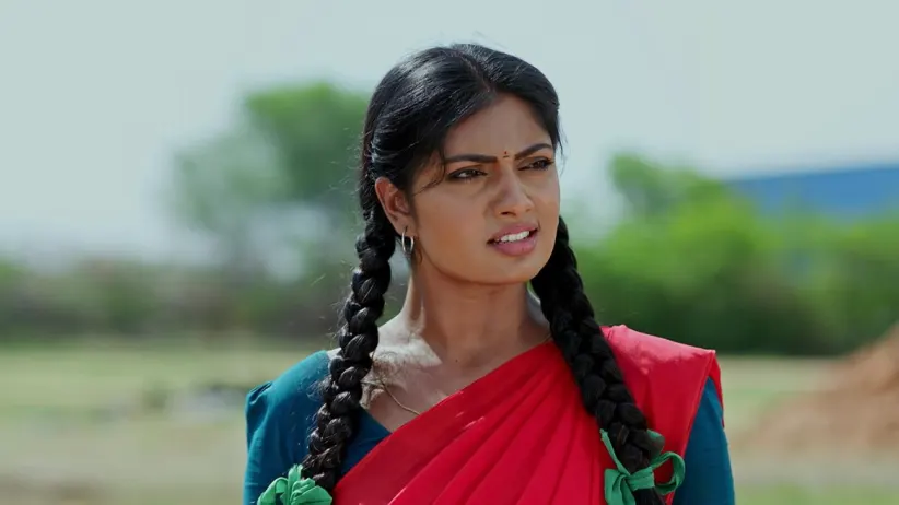 చిట్టిని గాయపరుస్తాడు పులిరాజు