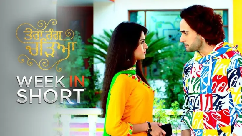 Week in Short - Tera Rang Chadeya - September 21, 2020 to September 25, 2020