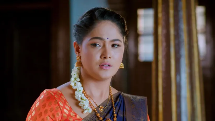 Damini's Talks about Paarvathi Surprises Rahul - Paaru