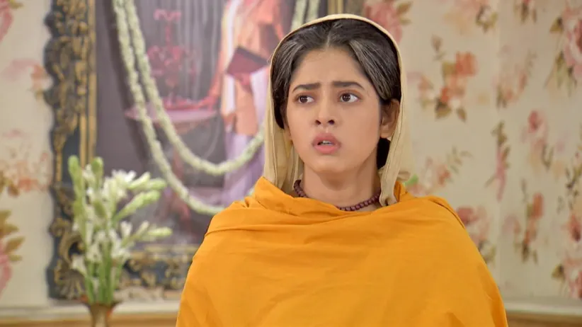 Rani's View About Vidyasagar's Campaign 