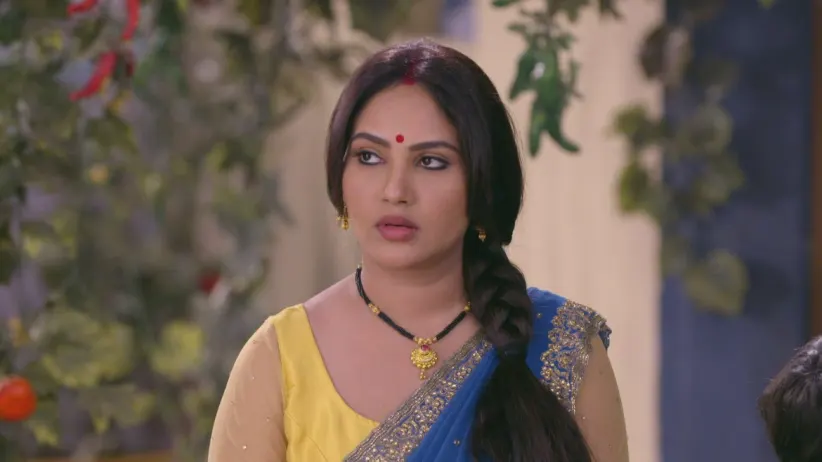 Happu’s house gets divided - Happu Ki Ultan Paltan
