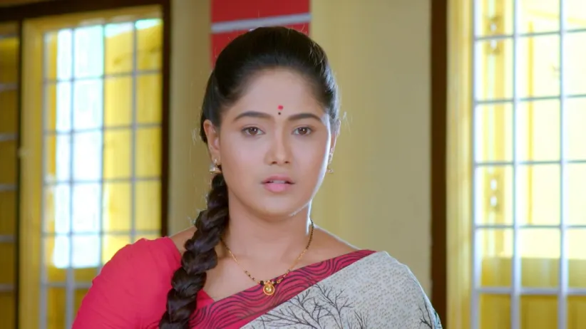The Success of Aditya's Plan Makes Jaanu Happy - Paaru