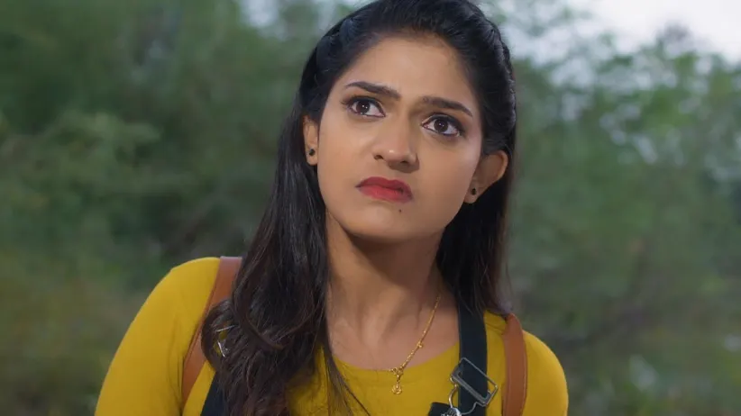 Showrya announces Sampada’s pregnancy - Inti Guttu