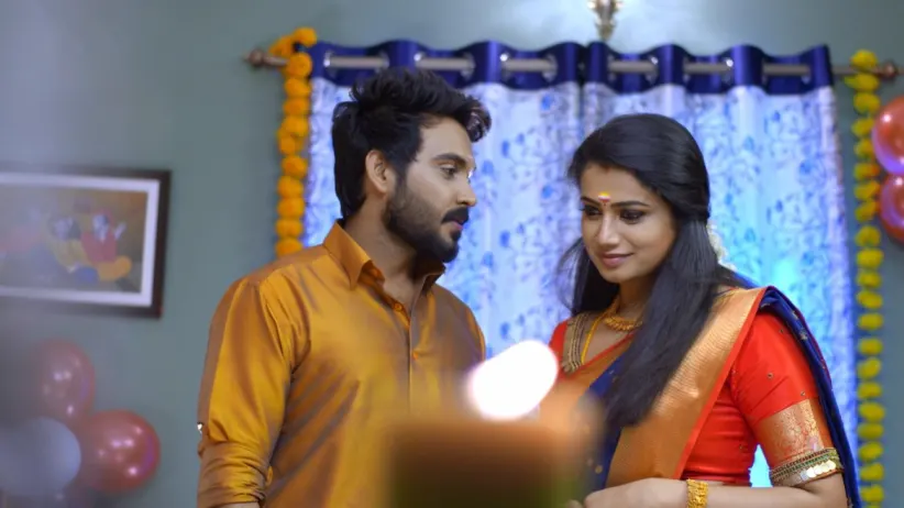 Lakshmi Comforts Anita