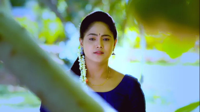 The Qualities of Aditya's Ideal Bride - Paaru