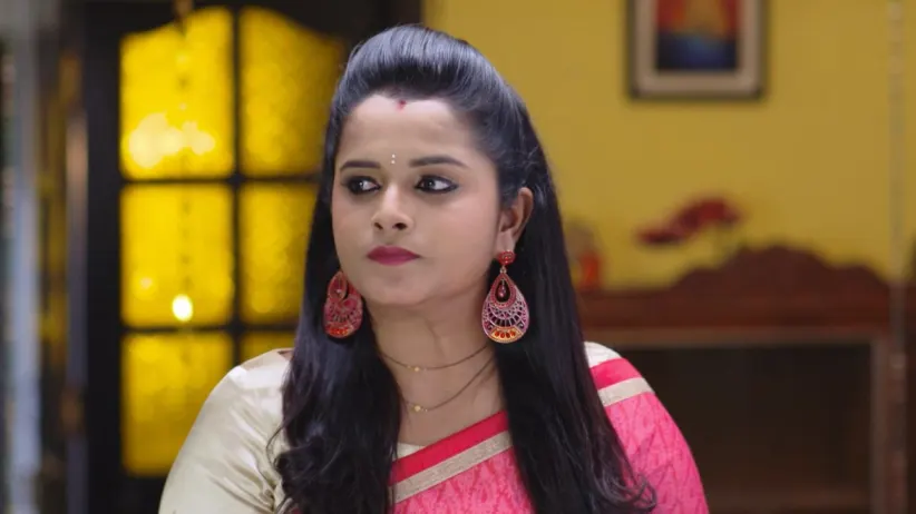 Watch Rama Sakkani Seetha TV Serial 17th March 2021 Full Episode 439 ...