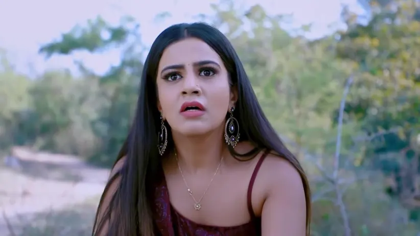 Trishul and Shivani save Digvijay's life - Naagini 2
