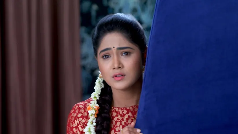 Will Akhila See Pritham and Jaanu's Photograph? - Paaru