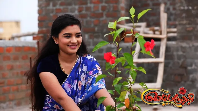 Nandini and Sharma's conspiracy - Sembaruthi