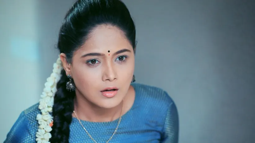 The Allegations Against Paarvathi - Paaru