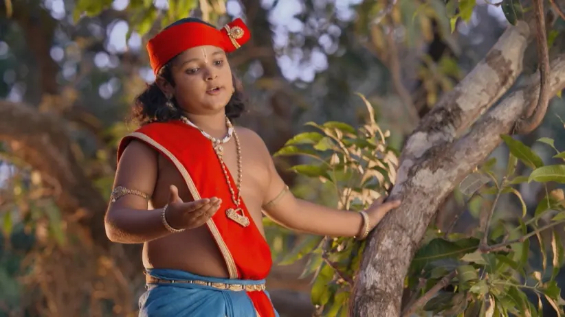 Kamsa decides to destroy the Katri mountain - Paramavatari Sri Krishna