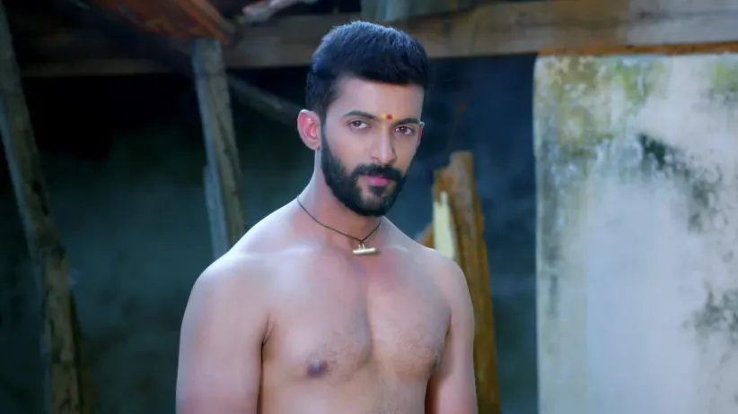 Aditya's customary 'oil bath' for Sankranthi - Makara Sankranthi Special