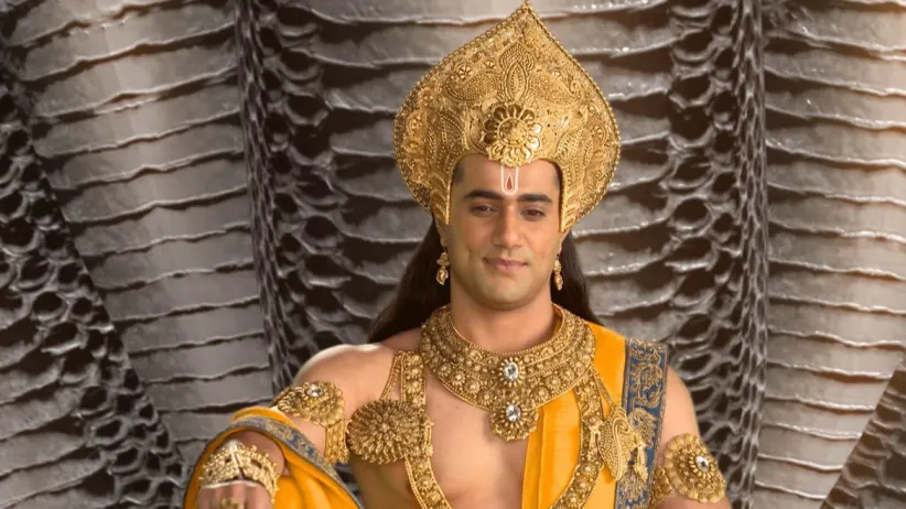 Krishna challenges Brahmarakshas Shridhara - Paramavatari Sri Krishna