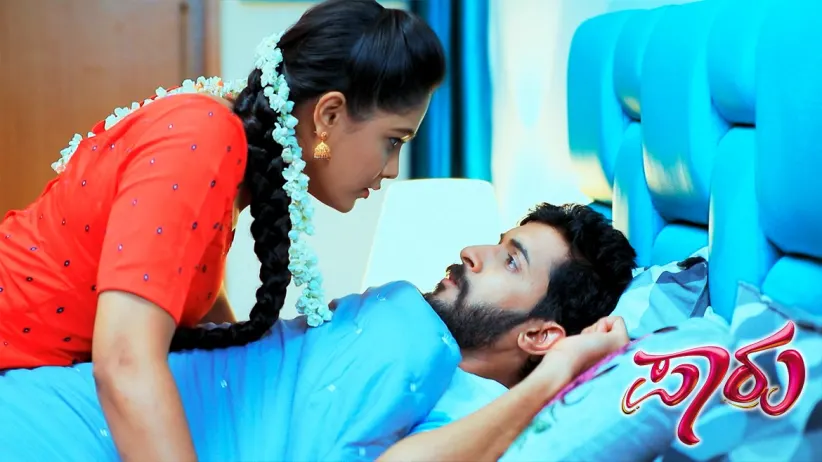 Damini tells Anushka her plan - Paaru
